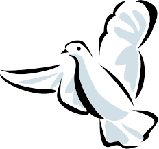 Death dove